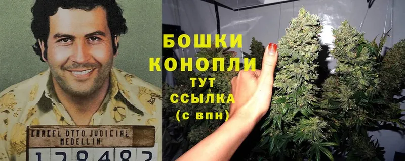 omg маркетплейс  как найти наркотики  Белая Холуница  МАРИХУАНА OG Kush 